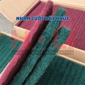 Nhám cước bùi nhùi